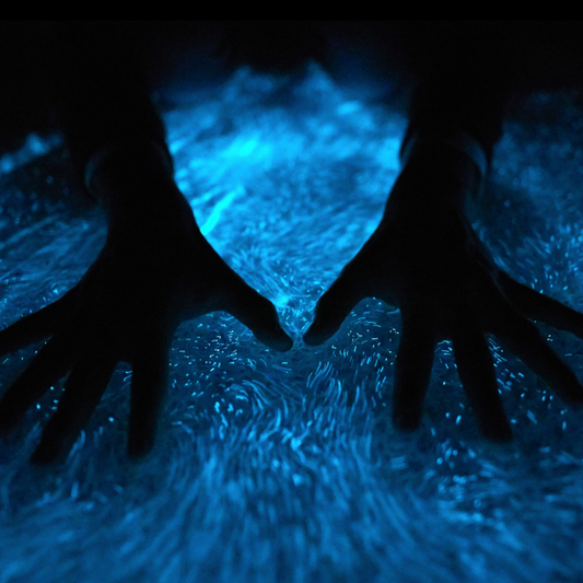 Marine and Terrestrial Bioluminescence in Nature