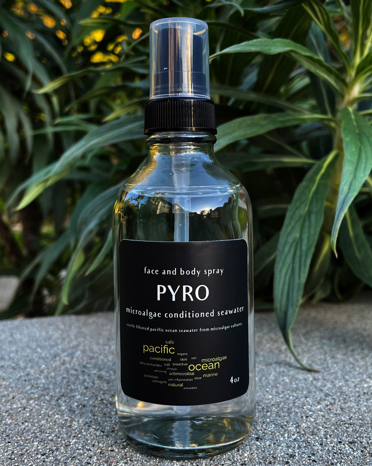 PYRO face and body spray with microalgae treated seawater